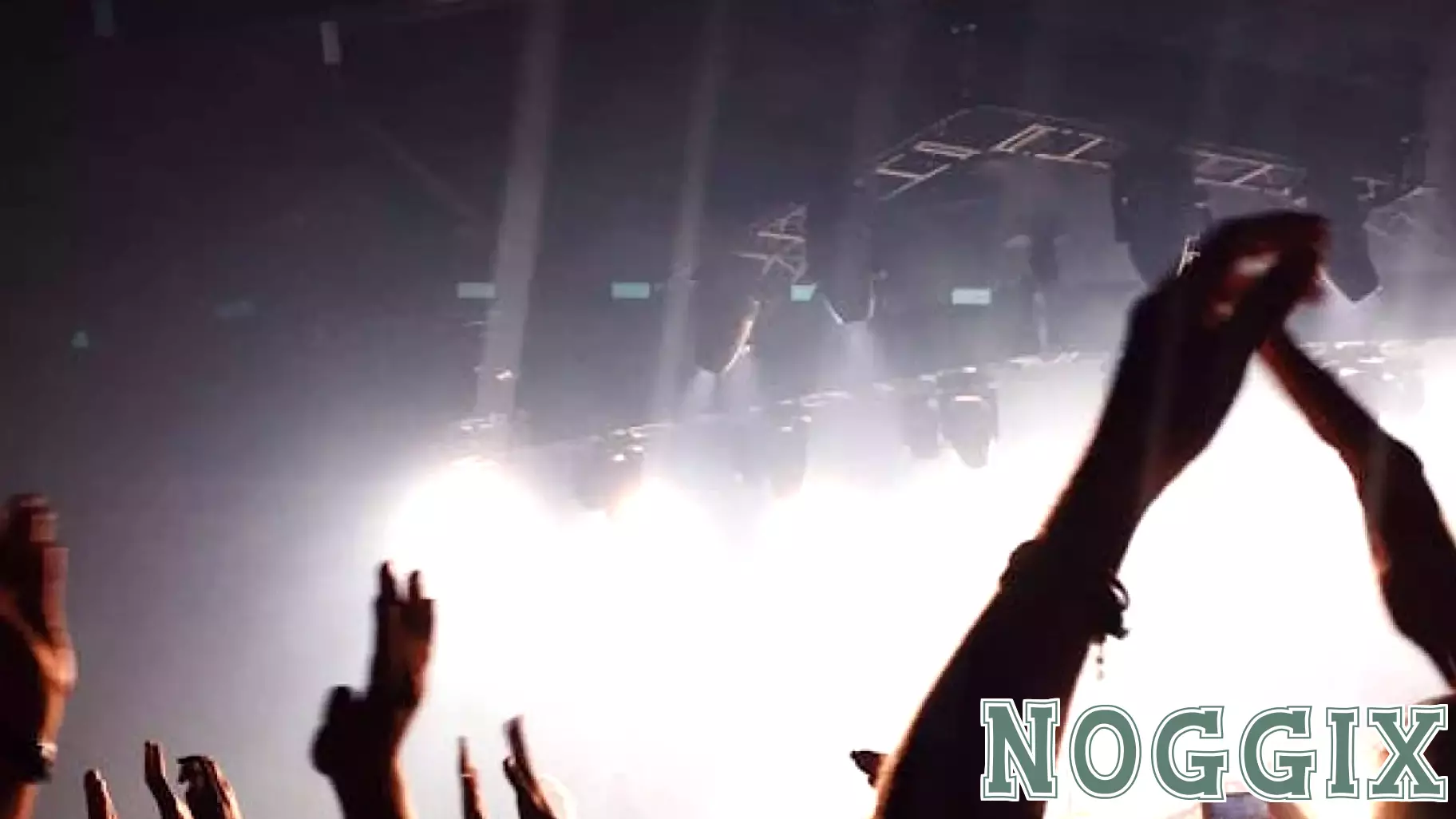 Becoming Beloved: Case Studies in Popularity