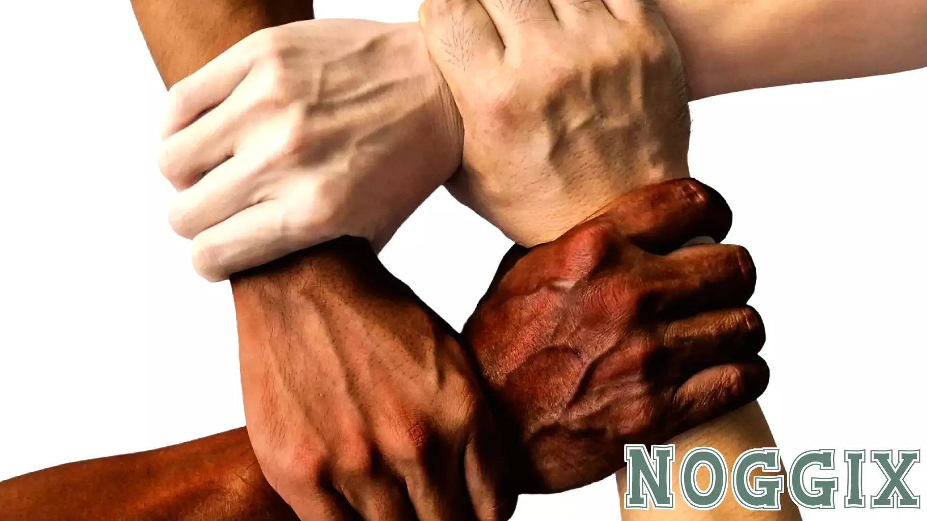 Building a Society That Celebrates Diversity