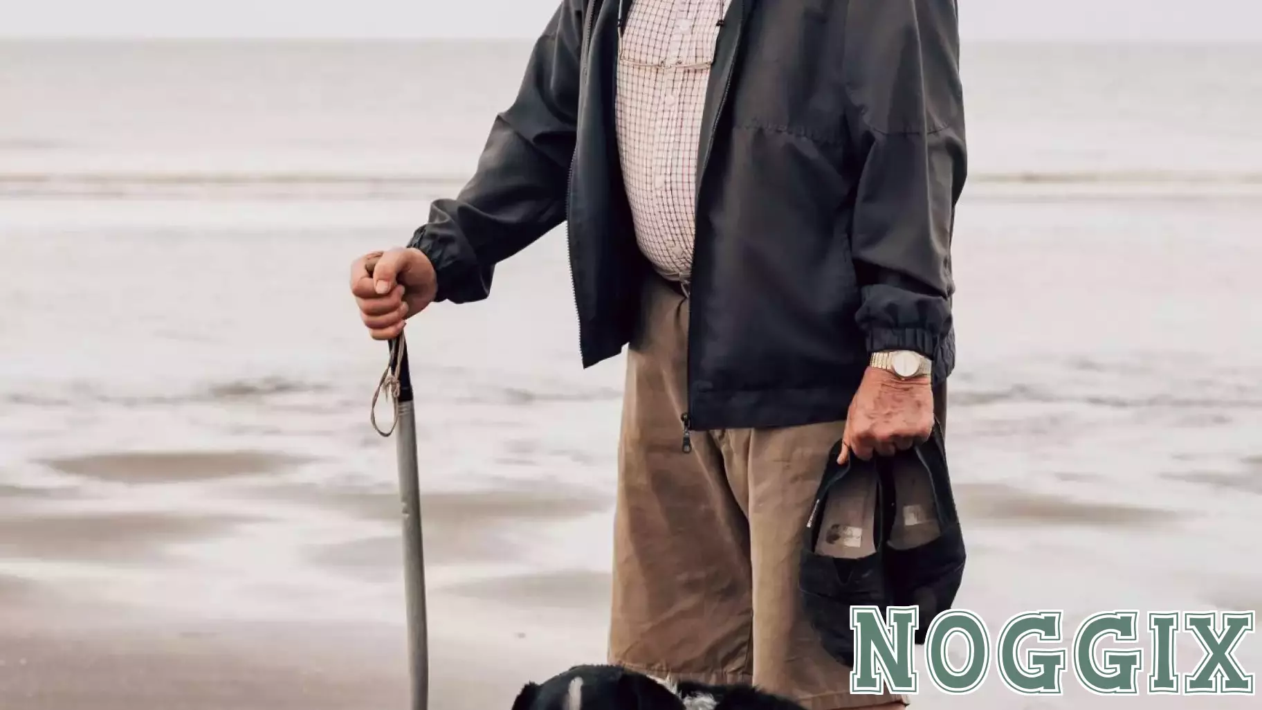 Can Pets Play a Role in Protecting Cognitive Health in Older Adults?