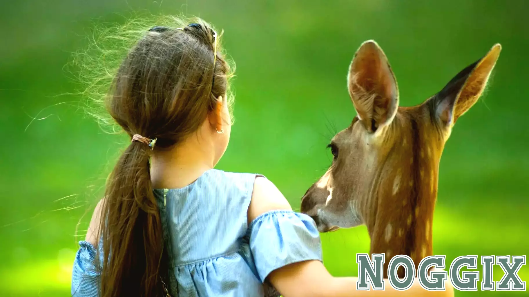 Embracing Compassionate Living Through Education and Rewilding