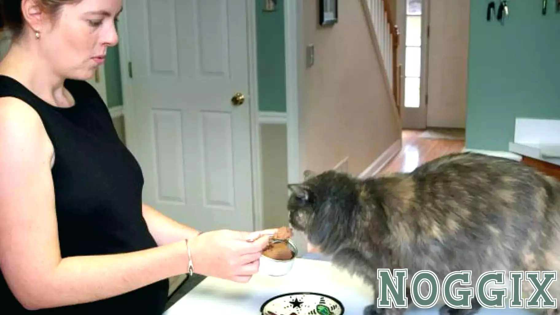Exploring the Connection Between Cat Ownership and Declining Birth Rates