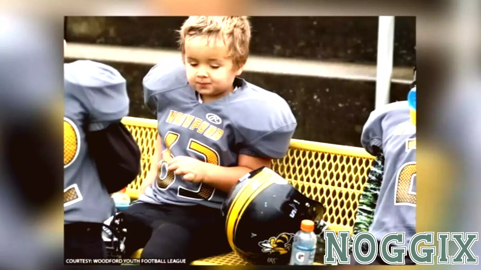 Forensic Psychologists Urge Enhanced Guidelines for Logan's Law in Kentucky