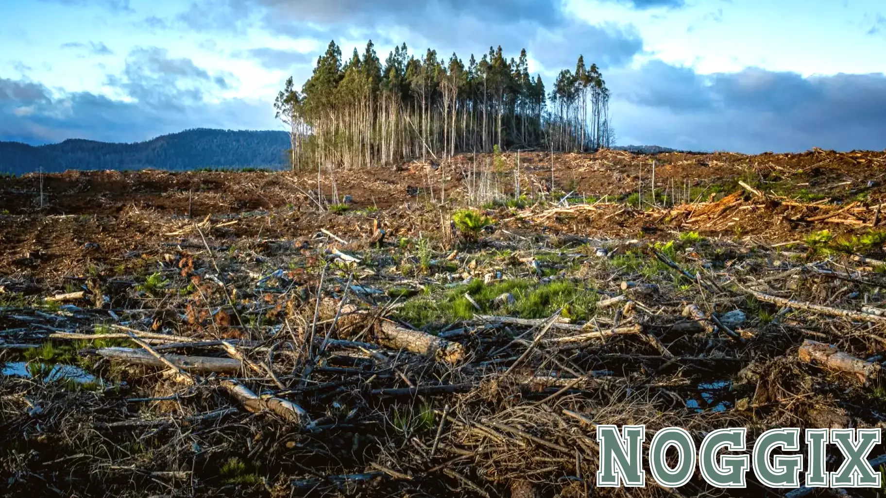 How to Grieve a Changing Planet
