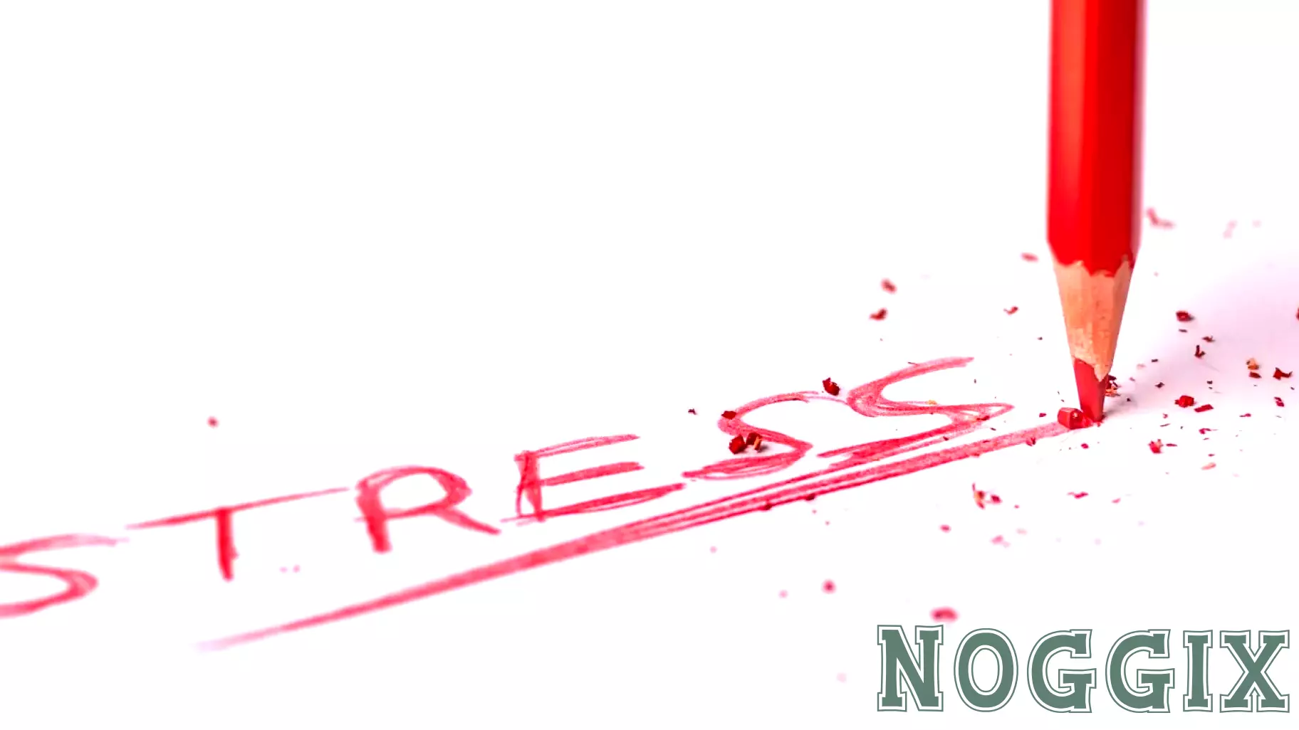 Navigating Political Stress to Preserve Relationships