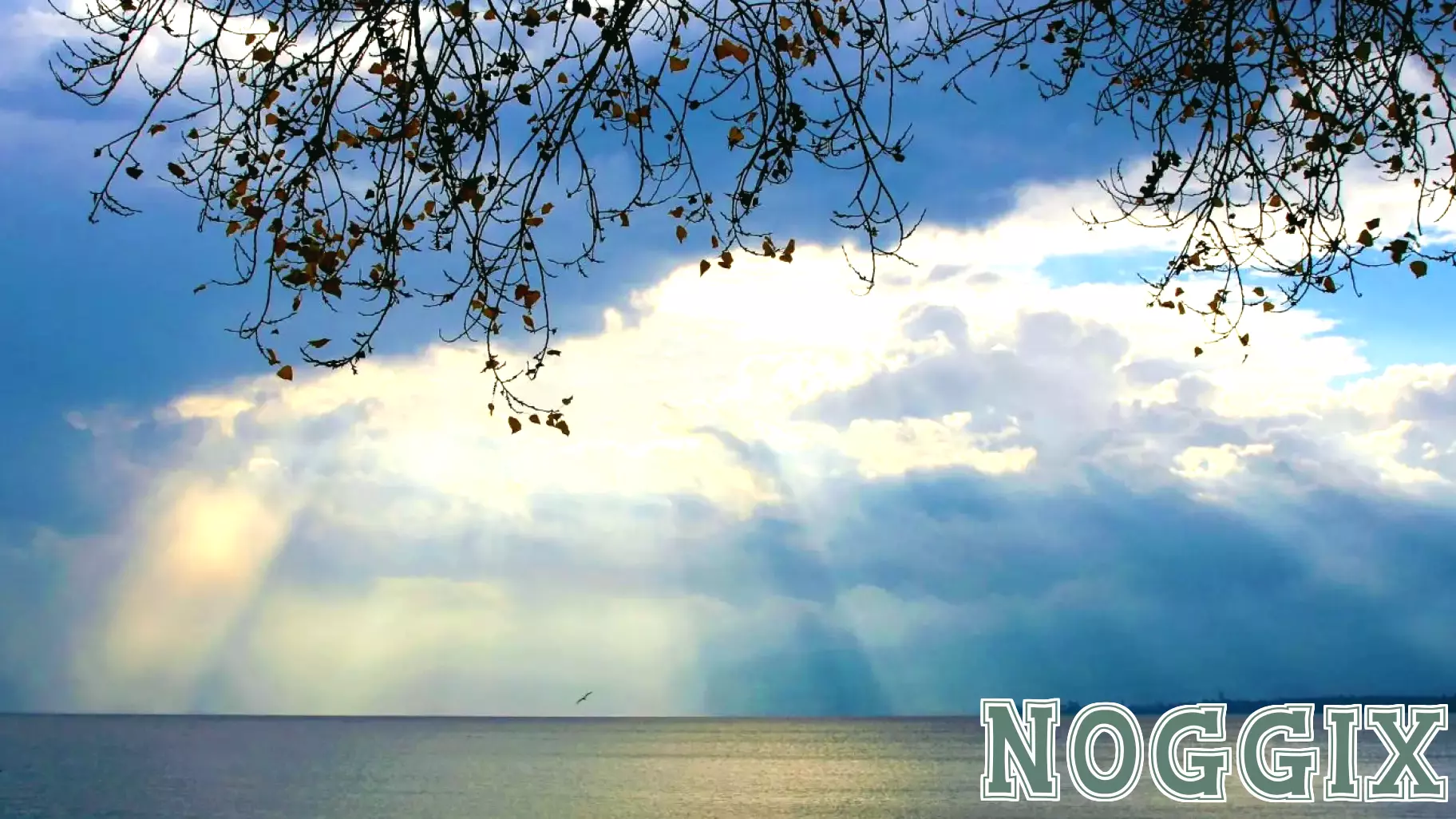 New Research on How Mindful Hope Can Support Well-Being
