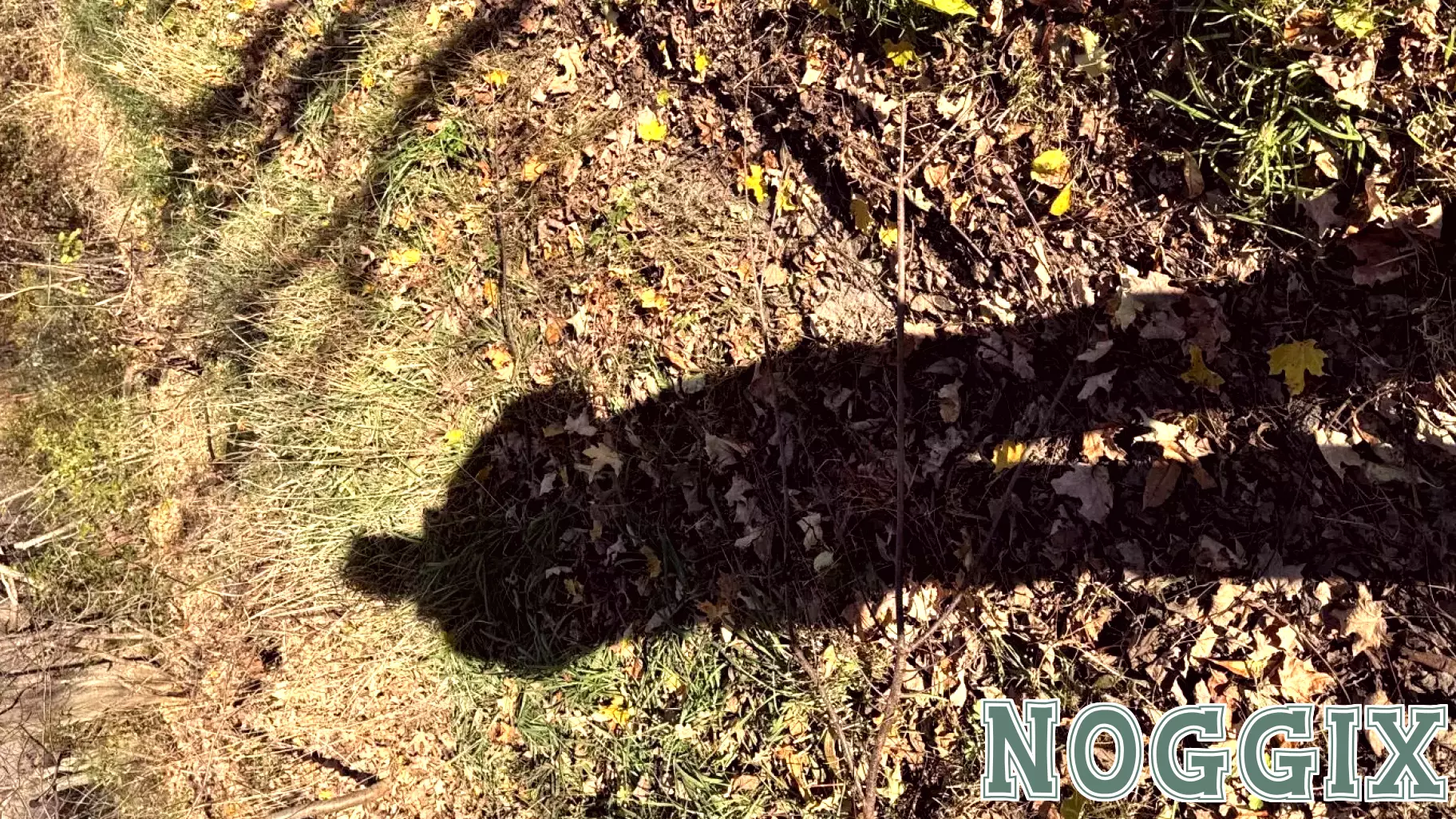 Personal Journey: Embracing My True Self After a Life-Altering Diagnosis