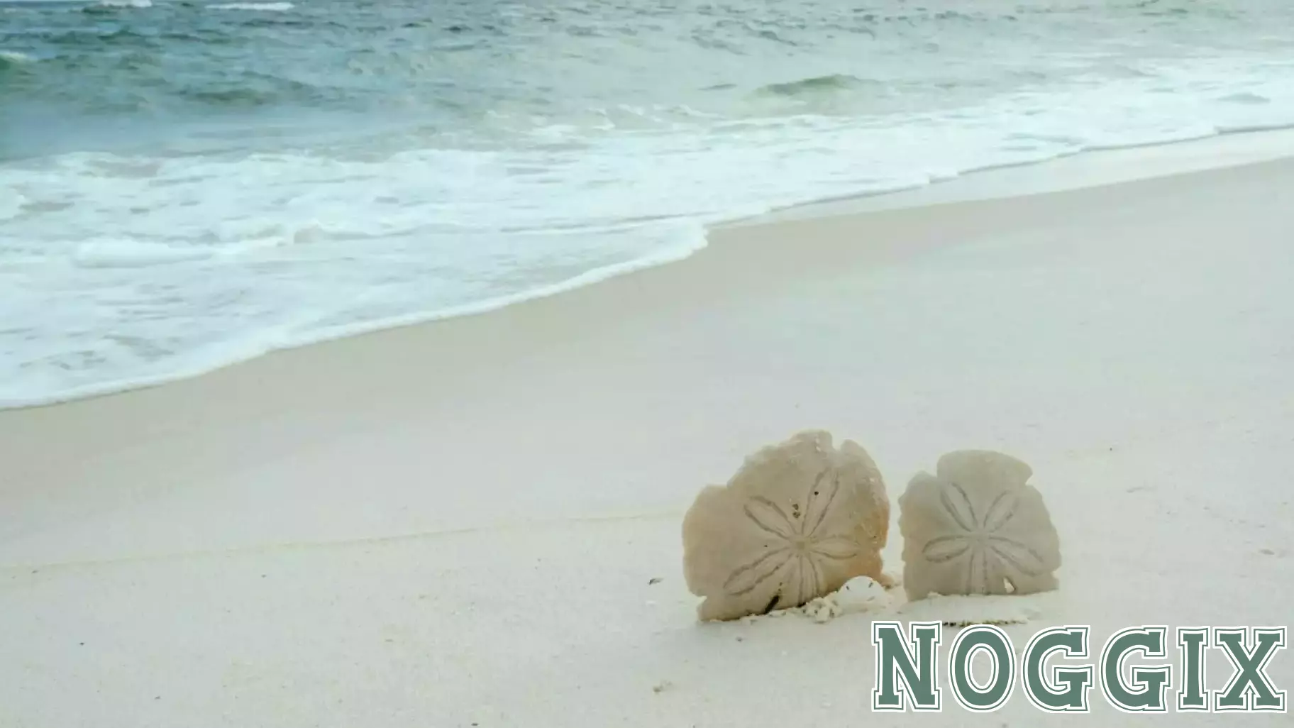 Rethinking Your Vacation: How to Recharge Effectively