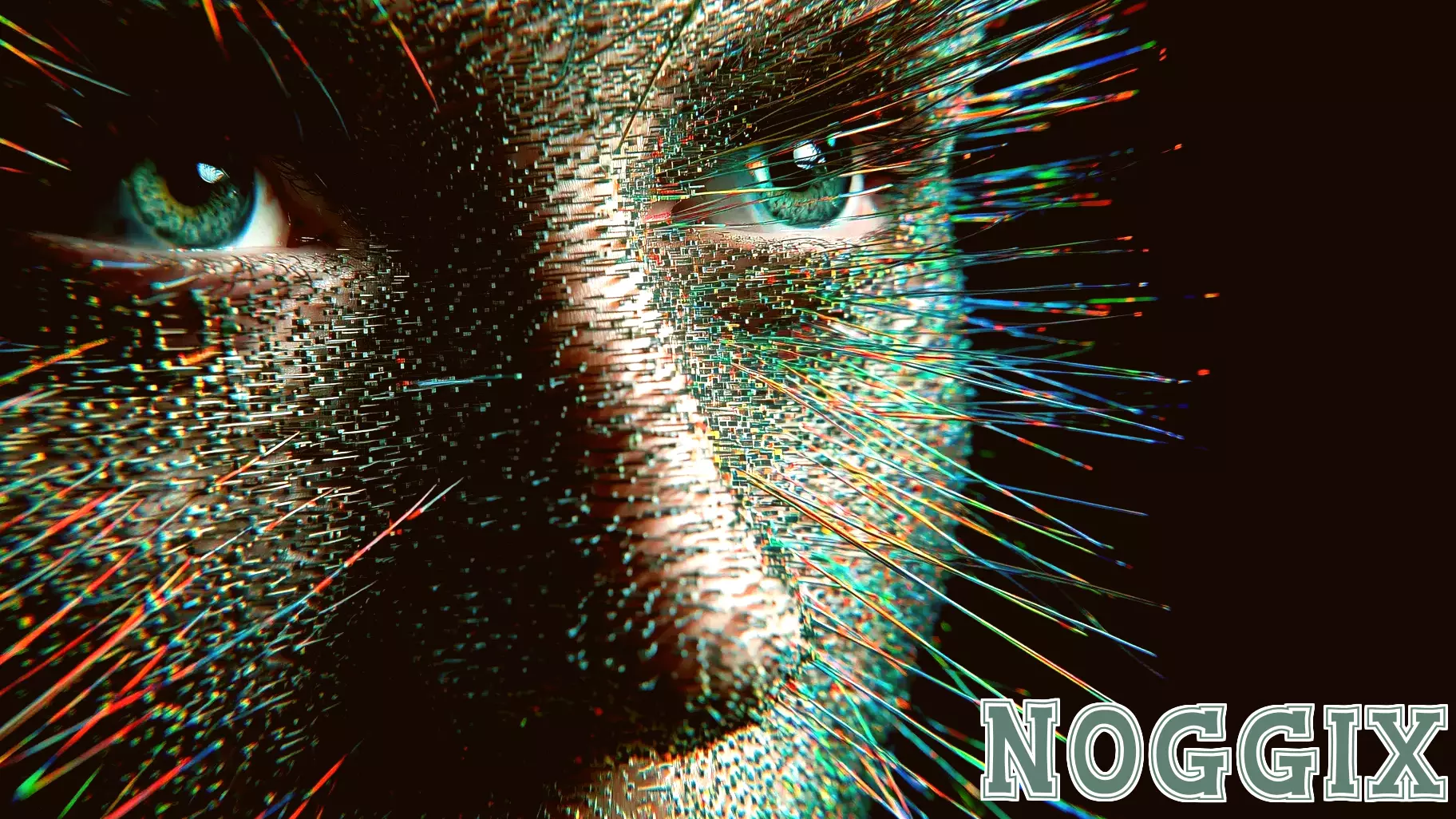 The Hidden Dangers of Personalized Algorithms in Learning