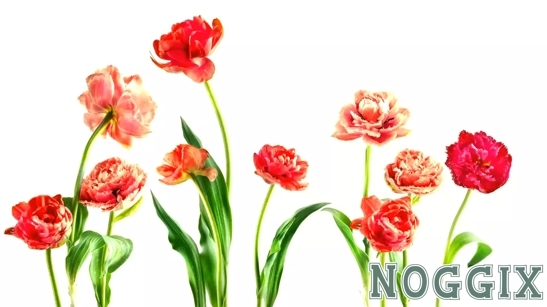 The Psychology Behind the “Fresh Start Effect”—and Why Spring Is the Perfect Time to Build New Habits