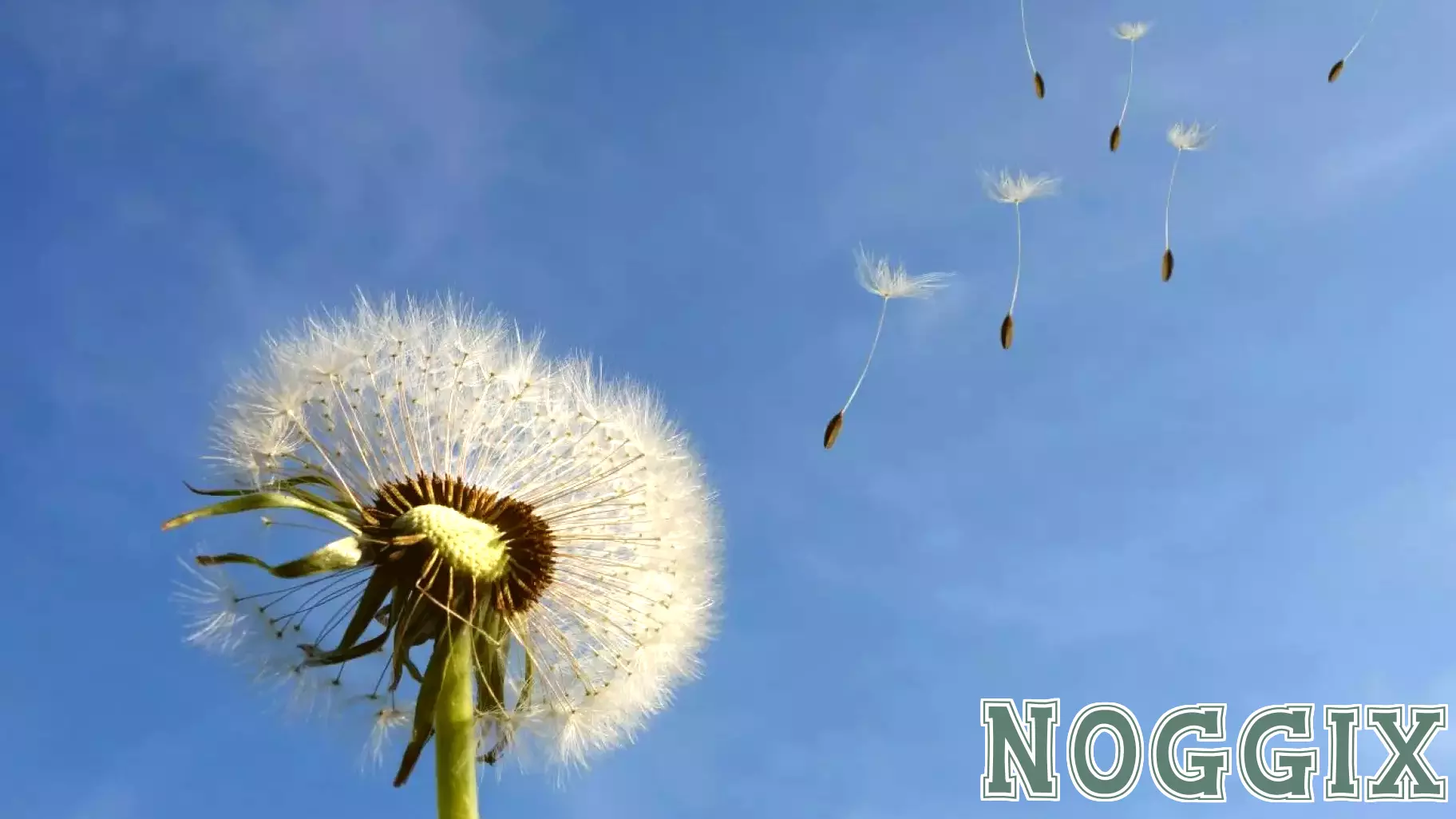 The Transformative Impact of Viewing Life as a Narrative