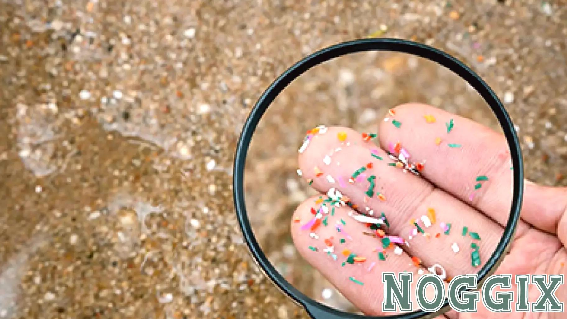 Understanding the Real Risks of Microplastics in Our Lives