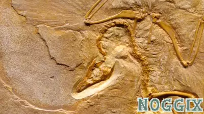 **Defining Humanity's Irreplaceable Role in the Age of Artificial Intelligence**