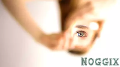 Exploring Peer Collaborative Learning in University Libraries