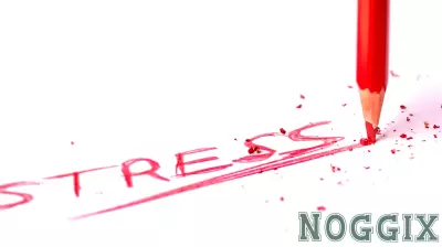Navigating Political Stress to Preserve Relationships