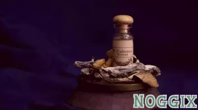 New Executive Order Paves the Way for Psychedelic Therapy for Veterans