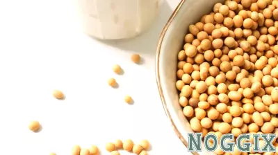 The Controversy Surrounding Soy Milk and Health Myths