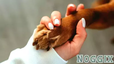 The Power of Human-Animal Relationships: 'Unleashing the Bond'