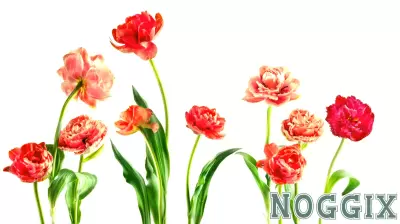 The Psychology Behind the “Fresh Start Effect”—and Why Spring Is the Perfect Time to Build New Habits