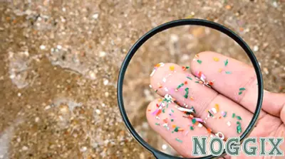 Understanding the Real Risks of Microplastics in Our Lives